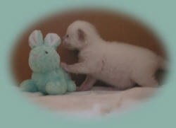 Be My Friend